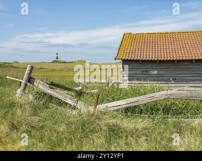 Un vecchio fienile in legno con una recinzione in legno fatiscente di fronte a un cielo blu e campi erbosi, spiekeroog, frisia orientale, mare settentrionale, germania Foto Stock