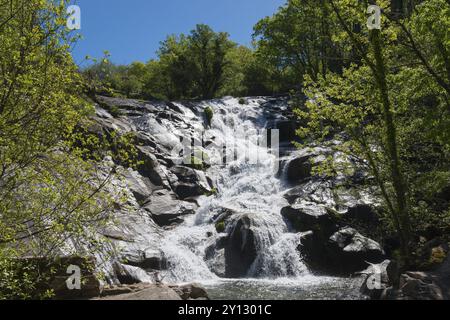 Cascata naturale che scorre su rocce rocciose circondate da alberi verdi in una giornata di sole, Cascada del Calderon, Piornal, Caceres, Cacares, Extremadura, centro benessere Foto Stock