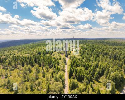 Una torre di osservazione sorge nel mezzo di una fitta foresta sotto un cielo blu con nuvole bianche, Kaltenbronn, Hohlohturm, Foresta Nera, Germania, Europa Foto Stock
