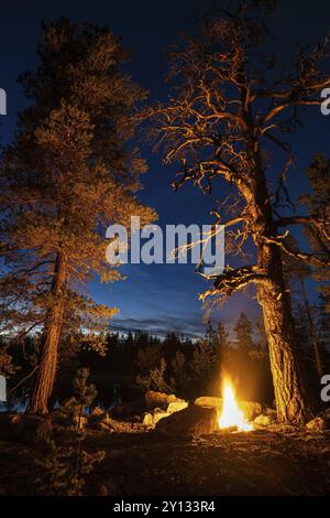 Uomo la sera in un bivacco con falò, Lapponia, Svezia, Scandinavia, Europa Foto Stock