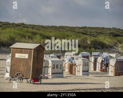 Capanna e sedie a sdraio numerate su una spiaggia sabbiosa di fronte a dune verdi, spiekeroog, frisia orientale, mare settentrionale, germania Foto Stock