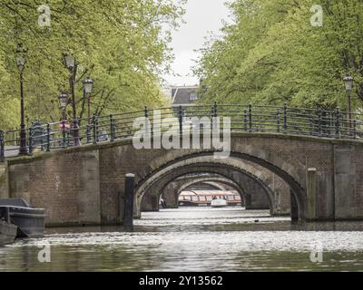 Diversi ponti ad arco su un canale tranquillo, circondati da alberi in un ambiente urbano, amsterdam, paesi bassi Foto Stock