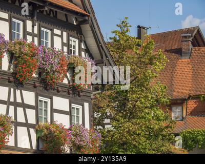 Casa in legno con molti fiori in fiore e piante verdi, facciata bianca-nera, tetto piastrellato rosso, calda atmosfera estiva, Foresta Nera, bade-Wuerte Foto Stock