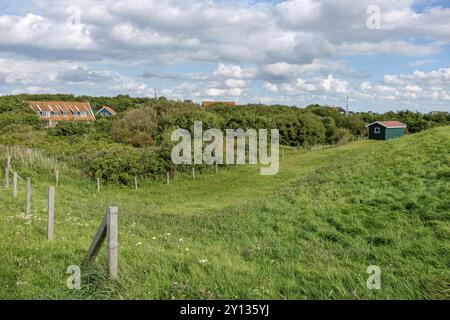 Campo verde con case sparse sul bordo e una recinzione al pascolo sotto un cielo blu, spiekeroog, frisia orientale, mare settentrionale, germania Foto Stock