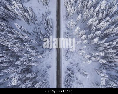 Punto di vista aereo della strada nell'idilliaco paesaggio invernale. Strada che attraversa la natura da una vista a volo d'uccello Foto Stock