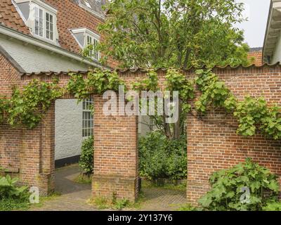 Un vecchio arco in mattoni con edera e alberi verdi sullo sfondo, Leida, Paesi Bassi Foto Stock