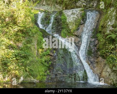 Un'ampia cascata scorre su rocce coperte di muschio in un tranquillo laghetto circondato da fitte vegetazione, Foresta Nera, Bade-Wuertemberg, Germania, Europa Foto Stock