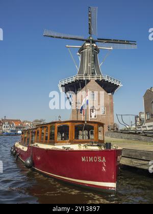 Una tradizionale barca rossa di fronte a un mulino a vento restaurato in una giornata di sole, Haarlem, Paesi Bassi Foto Stock