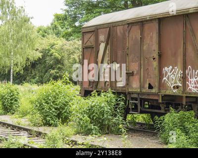 Vagoni merci abbandonati su binari, ricoperti dalla natura, parzialmente arrugginiti con graffiti, Duisburg, regione della Ruhr, Germania, Europa Foto Stock