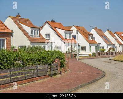 File di case con tetti di tegole rosse lungo una strada tranquilla con il sole, Juist, frisia orientale, mare settentrionale, germania Foto Stock