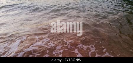 Sabbia e onde sulla spiaggia con spazio di copia per il testo Foto Stock
