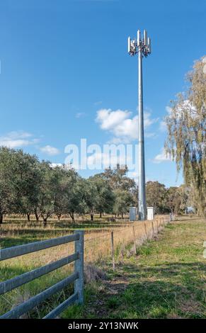 Piccola torre di telefonia mobile locale in un'area rurale vicino a Tamworth, Australia Foto Stock