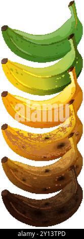 Le banane passano dal verde al marrone Illustrazione Vettoriale