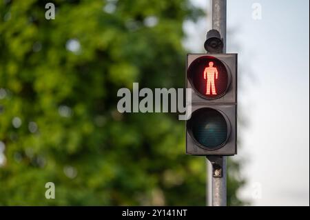 I segnali luminosi rossi per pedoni si fermano con alberi verdi sullo sfondo. Profondità bassa del campo Foto Stock