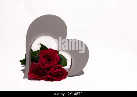 Una cornice a forma di cuore con rose rosse vivaci su uno sfondo bianco pulito. Le rose sono ordinate per creare un simbolo di amore e affetto Foto Stock