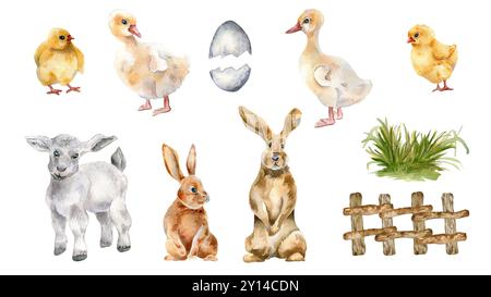 Animali di Pasqua Set di pulcini soffici, anatroccoli, coniglietti e un'illustrazione di acquerello di agnello isolato. Animali da fattoria bambini, recinzione rustica e cespuglio Foto Stock