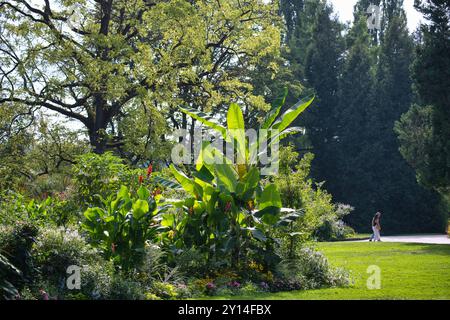 Insel Mainau, Spaziergang im Park *** Isola di Mainau, passeggiata nel parco Foto Stock