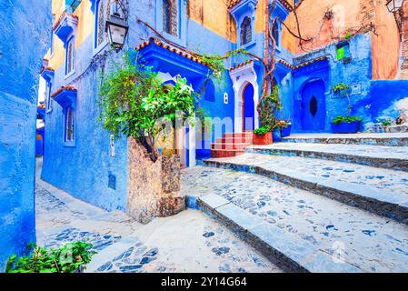 Chefchaouen, Marocco. Pareti e vasi di fiori decorati in blu, tipica Medina del Nord Africa marocchino. Foto Stock