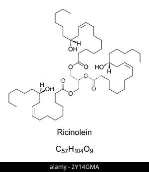 Ricinoleina, formula chimica e struttura scheletrica. La ricinoleina è il trigliceride dell'acido ricinoleico e principale componente dell'olio di ricino. Foto Stock
