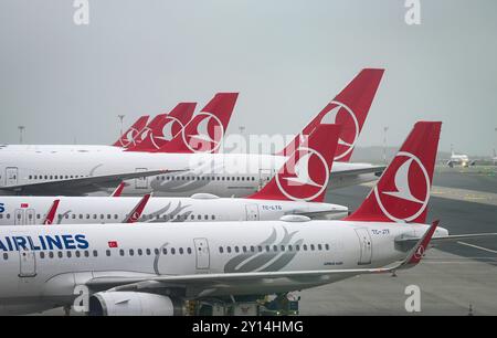 ISTANBUL - 23 GENNAIO: Fila di aerei con logotipo delle compagnie aeree turche in superficie all'aeroporto Havalimani Istanbul il 23,2024 gennaio in Turchia Foto Stock