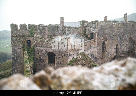 Una vista di parte del castello di Manorbier, nel Pembrokeshire. Prelevato dalla cima della sua torre. Foto Stock