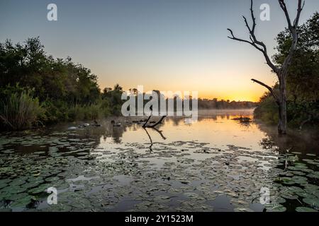 Sudafrica, Parco Nazionale di Kruger, Lago Panic la mattina presto Foto Stock