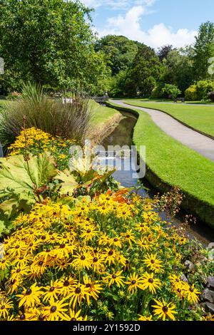 Un piccolo torrente che scorre attraverso i premiati Trenance Gardens a Newquay in Cornovaglia nel Regno Unito. Foto Stock