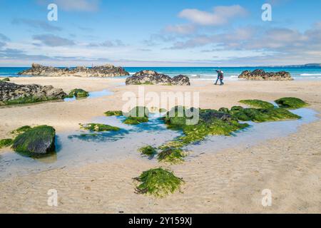 La costa rocciosa esposta con la bassa marea sulla Great Western GT Western Beach a Newquay in Cornovaglia nel Regno Unito. Foto Stock