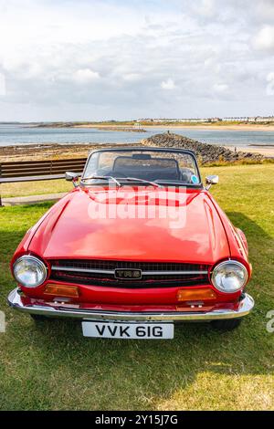 Una Triumph TR6 decappottabile rossa brillante parcheggiata su un prato verde vicino a una zona costiera in una giornata di sole. Foto Stock