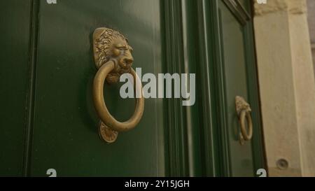 Primo piano di una porta a testa di leone decorata che bussa su una porta verde a lecce, puglia, italia, mostrando l'artigianato italiano. Foto Stock