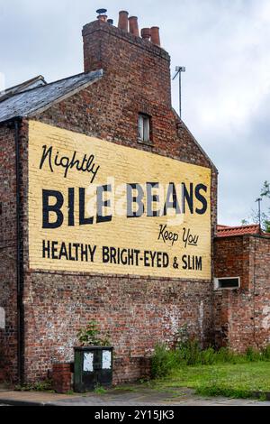 Pubblicità vintage dipinta su mattoni che promuovono Bile Beans come prodotto per la salute che ti mantiene sano, con gli occhi luminosi, e sottile Newcastle upon tyne Foto Stock