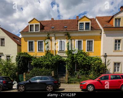 Dresda Loschwitz Denkmalgeschütztes Wieck-Haus a Loschwitz, Friedrich-Wieck-Straße 10 Dresda Sachsen Deutschland *** Dresda Loschwitz elencata Wieck House a Loschwitz, Friedrich Wieck Straße 10 Dresda Sassonia Germania Foto Stock