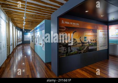 Laboratorio, Centro paleontologico, Enciso, la Rioja, Spagna, Europa. Foto Stock