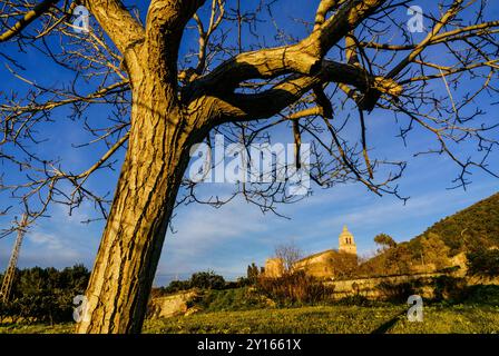 chiesa dell'Immacolata e del beato Ramon Llull, Randa, Algaida, Maiorca, Isole Baleari, Spagna. Foto Stock