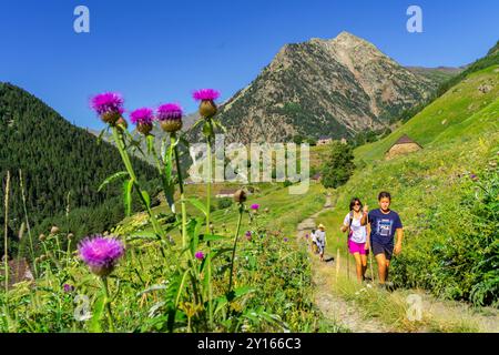 Aziende agricole Biadós, Viados, valle Añes Cruces, parco naturale Posets-Maladeta, Huesca, catena montuosa dei Pirenei, Spagna. Foto Stock