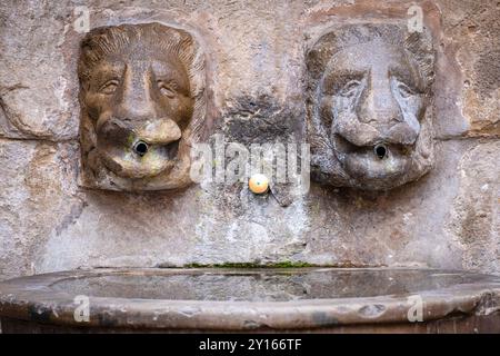 Fontana dei Lions, Murillo de Río Leza, la Rioja, Spagna, Europa. Foto Stock