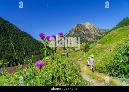 Aziende agricole Biadós, Viados, valle Añes Cruces, parco naturale Posets-Maladeta, Huesca, catena montuosa dei Pirenei, Spagna. Foto Stock