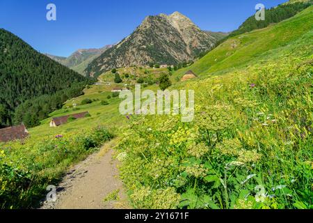 Aziende agricole Biadós, Viados, valle Añes Cruces, parco naturale Posets-Maladeta, Huesca, catena montuosa dei Pirenei, Spagna. Foto Stock