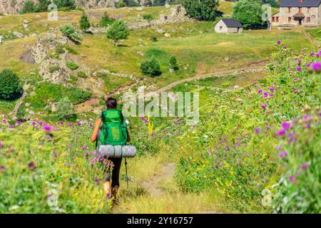 Aziende agricole Biadós, Viados, valle Añes Cruces, parco naturale Posets-Maladeta, Huesca, catena montuosa dei Pirenei, Spagna. Foto Stock