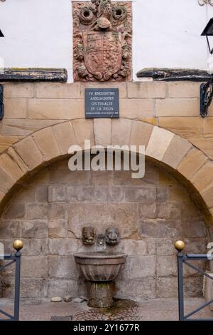 Fontana dei Lions, Murillo de Río Leza, la Rioja, Spagna, Europa. Foto Stock