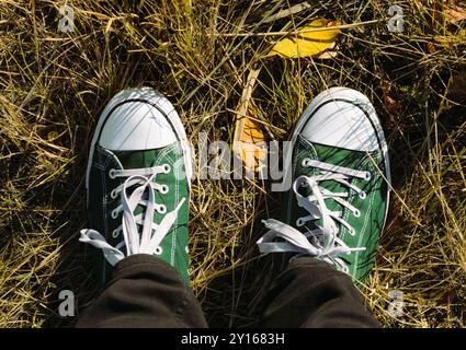 I piedi da uomo in sneaker verdi e bianche con lacci bianchi si stagliano sull'erba autunnale Foto Stock