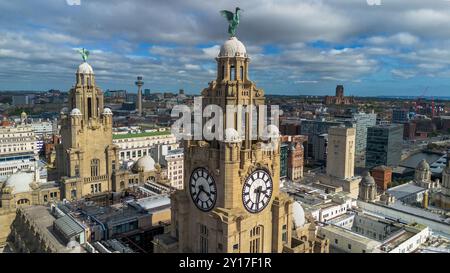 Edificio Royal Liver sul lungomare di Liverpool. Foto Stock