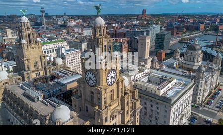 Edificio Royal Liver sul lungomare di Liverpool. Foto Stock