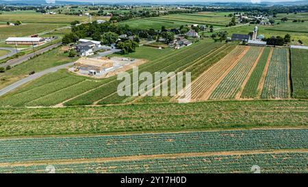 Un'ampia vista su una vibrante campagna mette in mostra raccolti ordinati, un cantiere edile e una piccola città nelle vicinanze sotto un cielo azzurro, mettendo in risalto la bellezza agricola di questa zona rurale. Foto Stock
