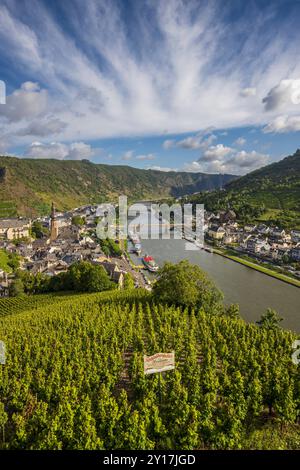 Una vista di Cochem e del fiume Mosella dal Castello di Reichsburg, Germania Foto Stock