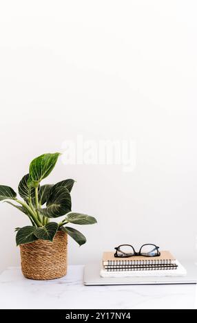 Elegante scrivania da ufficio con spazio per copie, blocchi appunti, laptop, impianto in vaso. Vista frontale Foto Stock