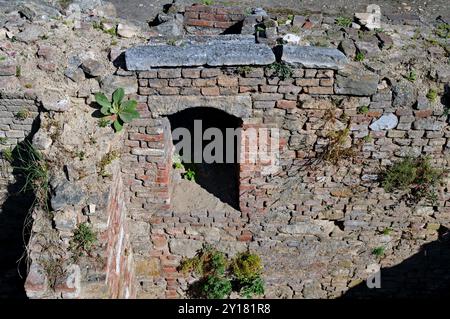 Le rovine scavate del campo militare romano di Vindobona possono essere viste nella piazza Michaelerplatz di Vienna. Foto Stock