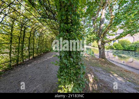 Pergola ad arco con alberi con i loro rami con foglie verdi che formano un tunnel, lungo un torrente, soleggiata giornata estiva nei giardini interni del castello di Arcen in Foto Stock