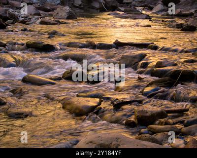 Fiume che scorre veloce sopra i massi, color oro a causa del riflesso delle scogliere di arenaria circostanti Foto Stock