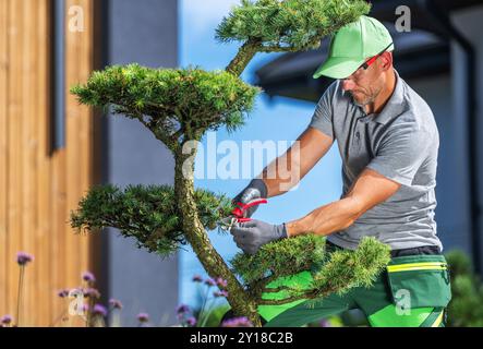 Un abile giardiniere potenzia con cura un lussureggiante albero di bonsai, assicurandosi che la sua forma sia mantenuta mentre si gode un bel tempo in un bellissimo giardino Foto Stock